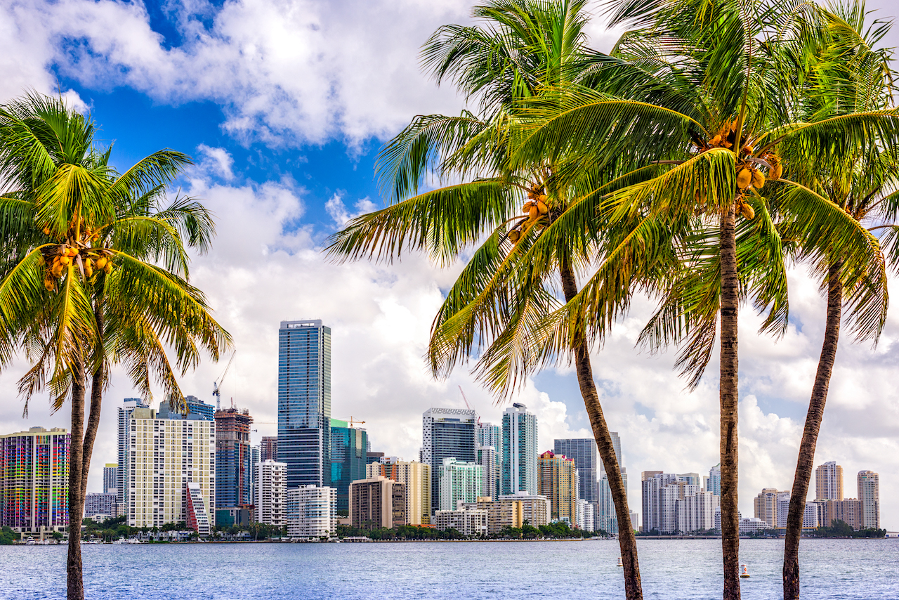 Florida skyline with palm trees